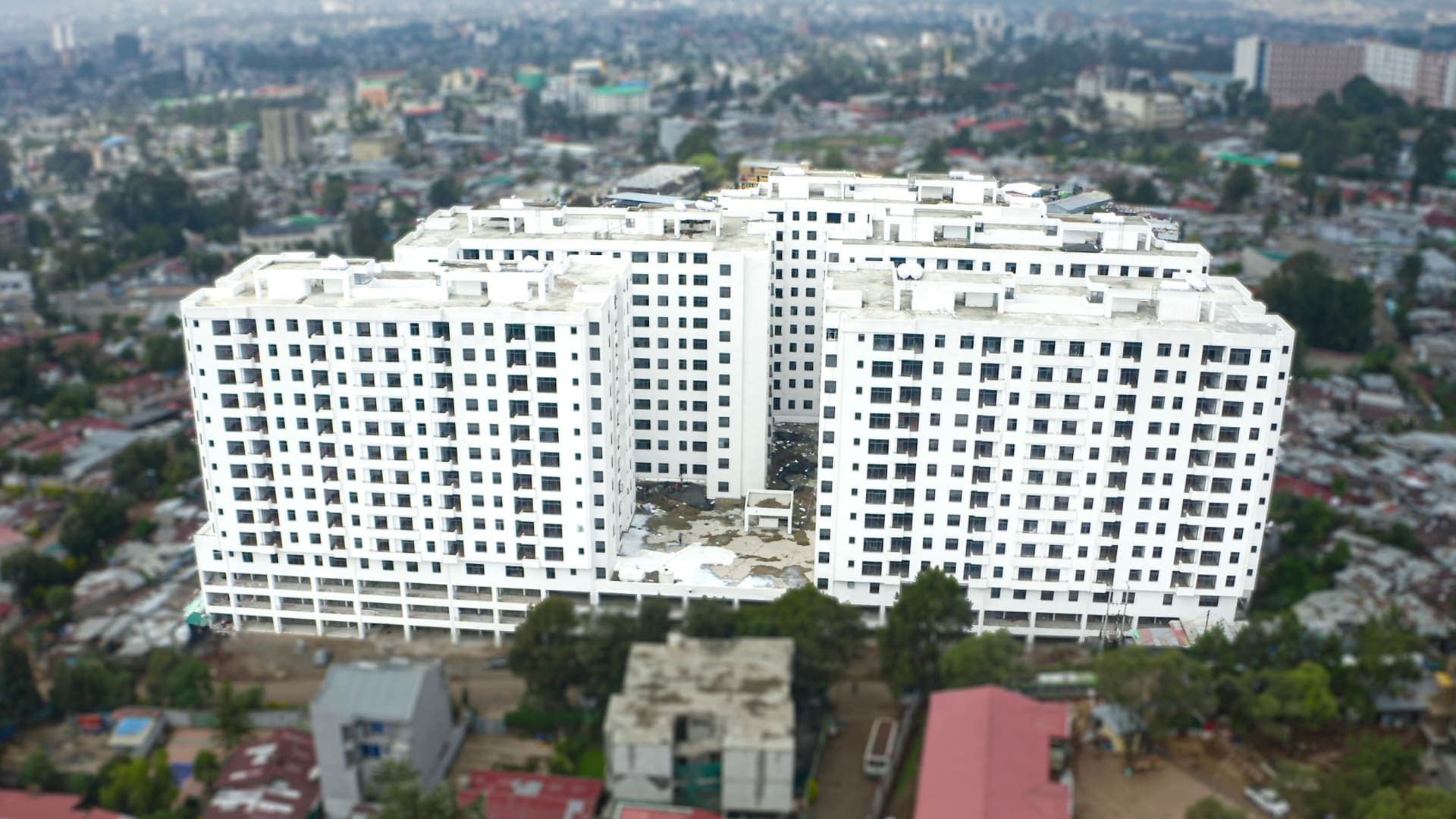 Noah Asqual Apartment